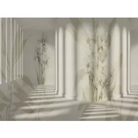 RIMURA / Main Collection