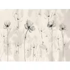 RIMURA / Main Collection