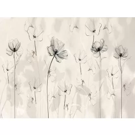 RIMURA / Main Collection