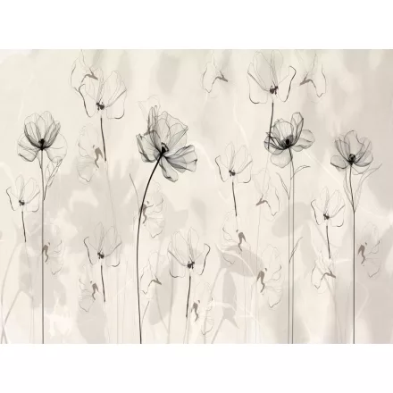 RIMURA / Main Collection