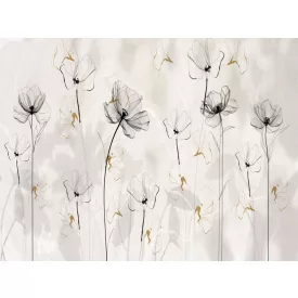 RIMURA / Main Collection