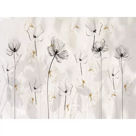 RIMURA / Main Collection