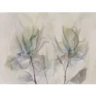 RIMURA / Main Collection