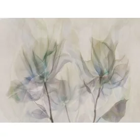 RIMURA / Main Collection