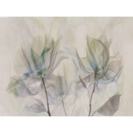 RIMURA / Main Collection