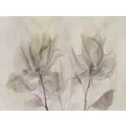 RIMURA / Main Collection