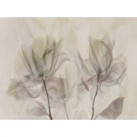 RIMURA / Main Collection