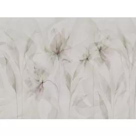 RIMURA / Main Collection