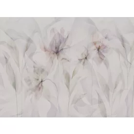 RIMURA / Main Collection