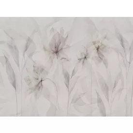 RIMURA / Main Collection