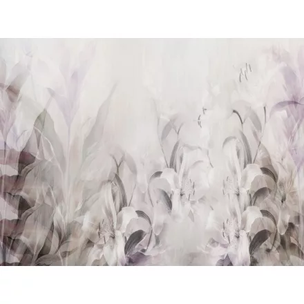 RIMURA / Main Collection