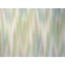 RIMURA / Main Collection