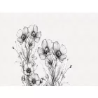 RIMURA / Main Collection