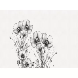 RIMURA / Main Collection