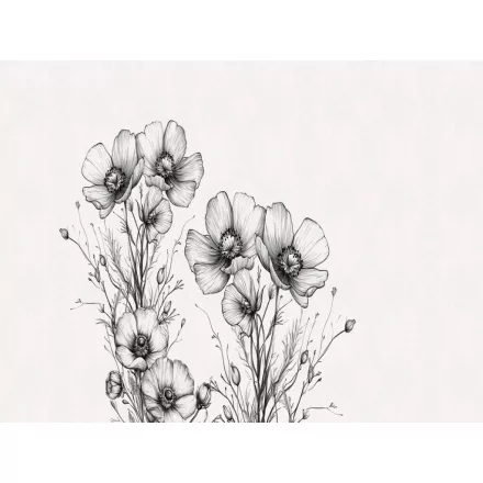 RIMURA / Main Collection