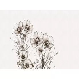 RIMURA / Main Collection