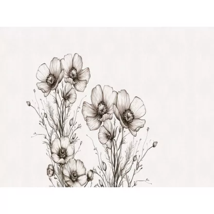 RIMURA / Main Collection