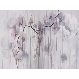 RIMURA / Main Collection