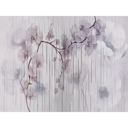 RIMURA / Main Collection