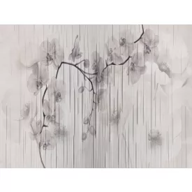 RIMURA / Main Collection