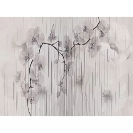 RIMURA / Main Collection