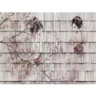 RIMURA / Main Collection