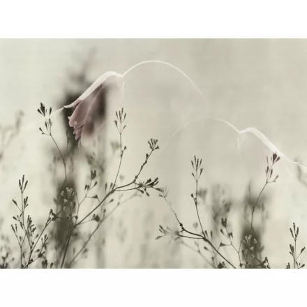 RIMURA / Main Collection