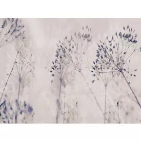 RIMURA / Main Collection