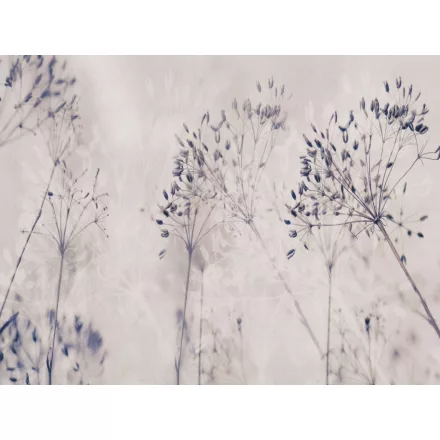 RIMURA / Main Collection