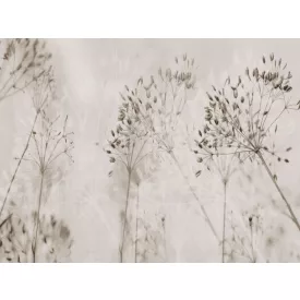 RIMURA / Main Collection