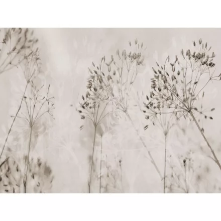 RIMURA / Main Collection