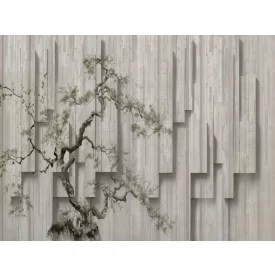 RIMURA / Main Collection