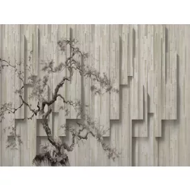 RIMURA / Main Collection