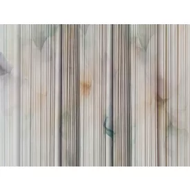 RIMURA / Main Collection