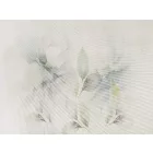 RIMURA / Main Collection