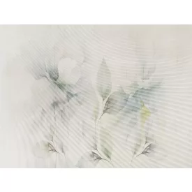 RIMURA / Main Collection