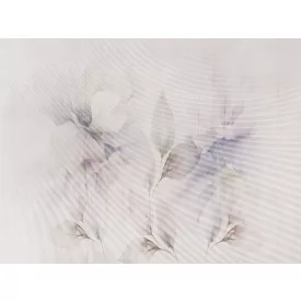 RIMURA / Main Collection