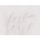 RIMURA / Main Collection