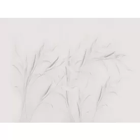 RIMURA / Main Collection