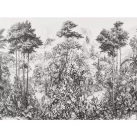 RIMURA / Main Collection