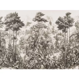 RIMURA / Main Collection