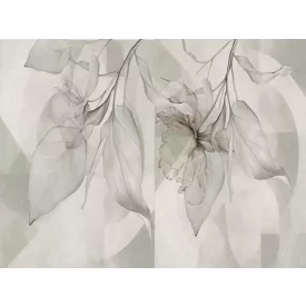 RIMURA / Main Collection