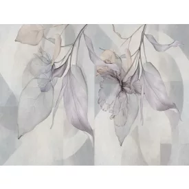 RIMURA / Main Collection