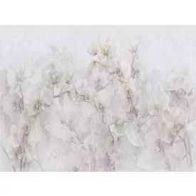 RIMURA / Main Collection