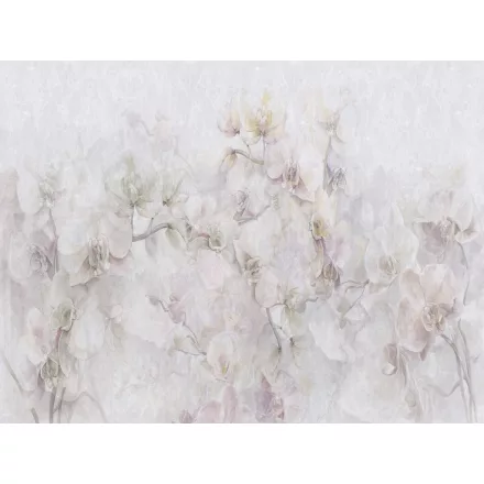 RIMURA / Main Collection