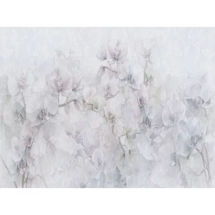 RIMURA / Main Collection