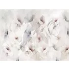 RIMURA / Main Collection