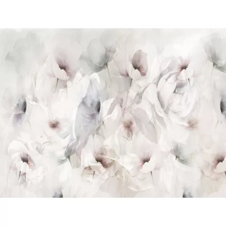 RIMURA / Main Collection