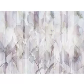 RIMURA / Main Collection