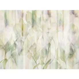 RIMURA / Main Collection